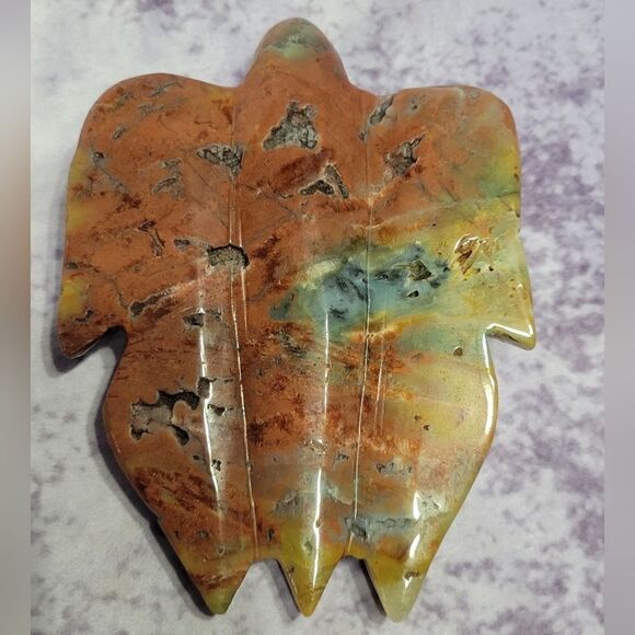 Caribbean Calcite Sea Turtle - Picture 2 of 5